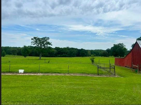 The pasture and barn at Dreamland Farms