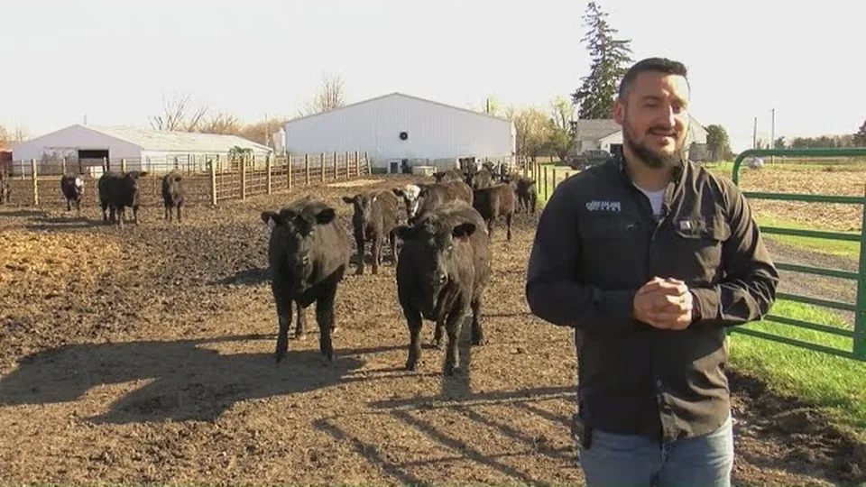 WTOL 11 report on Dreamland Farms and Pike-Delta-York Schools